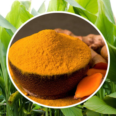 Premium Lakadong Turmeric