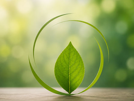 Environmentally Responsible Business Practices