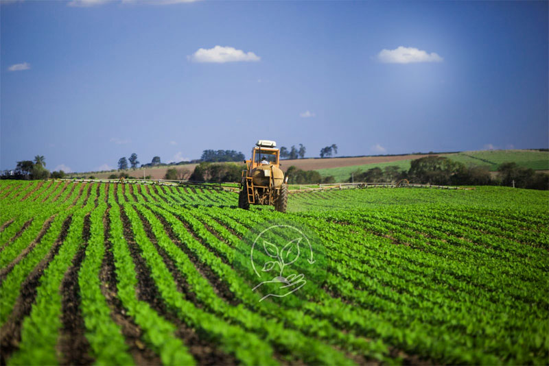 Sustainable Farming