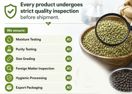 Strict quality inspection before shipment